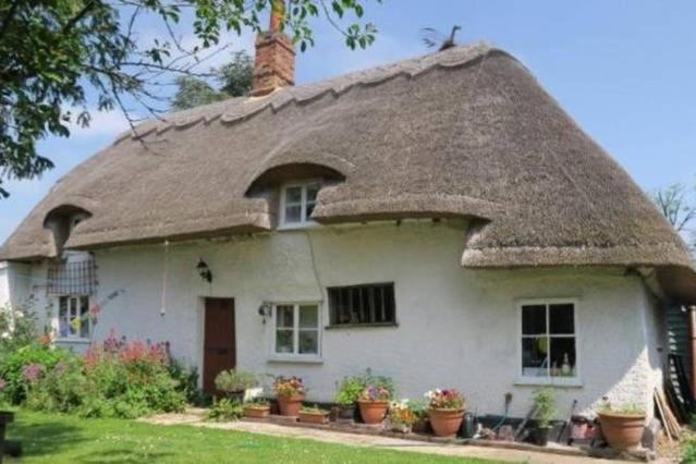 Entire Thatched Cottage Melbourn Exteriör bild